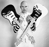 Billy Corgan signature Strat